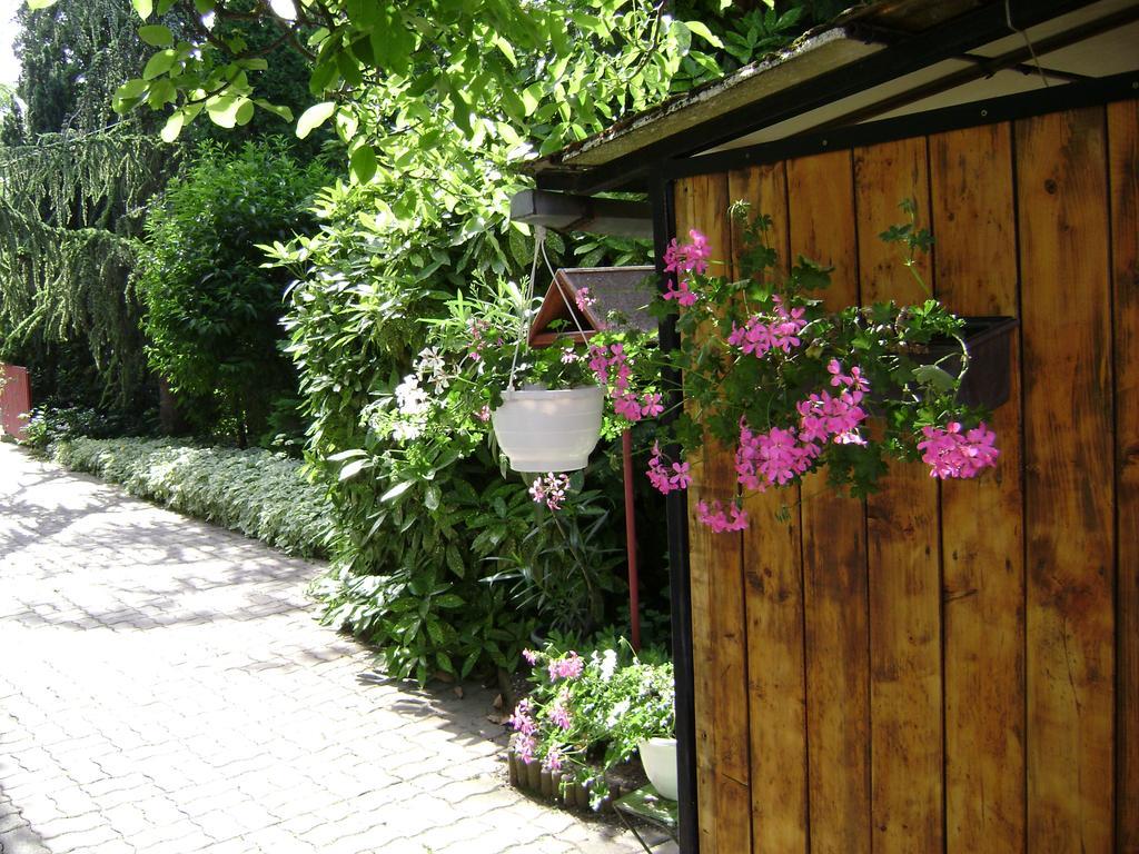 Muskatli Vendeghaz Bed & Breakfast Hévíz Dış mekan fotoğraf